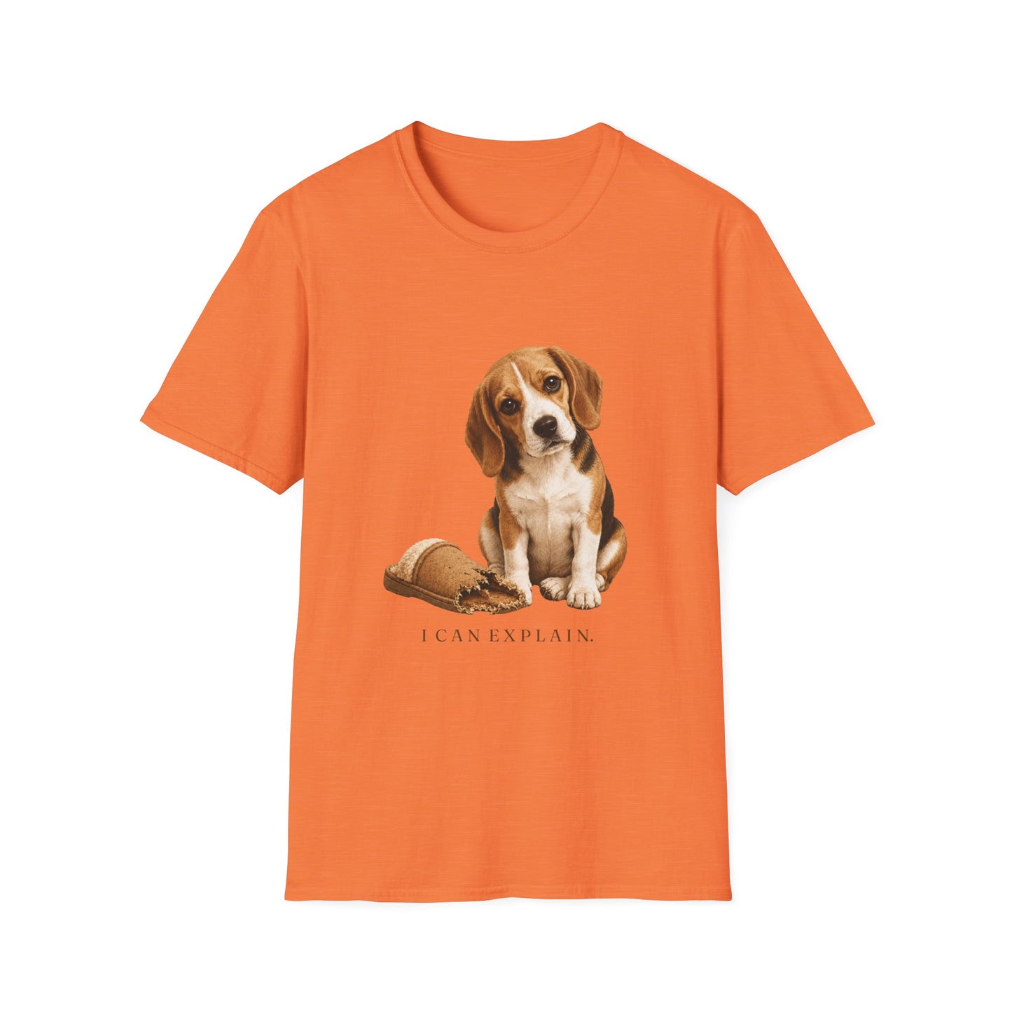 I Can Explain Unisex Tee